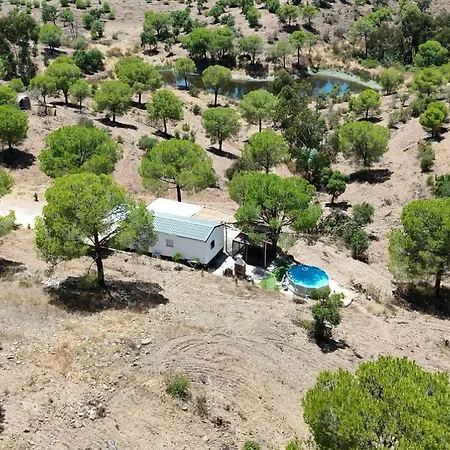 Into The Wild * Alcoutim