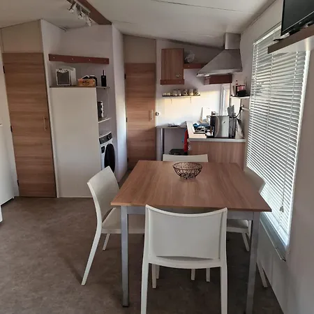 Into The Wild * アルコーティン