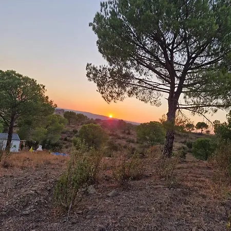 Into The Wild アルコーティン