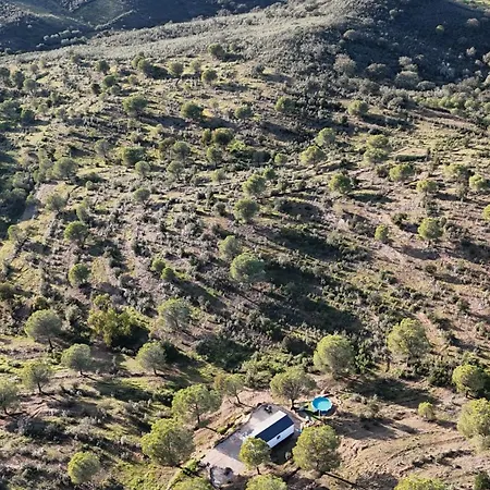 Into The Wild 阿尔科廷