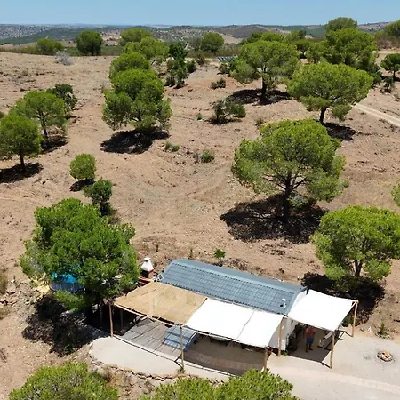 Luxury tent Into The Wild