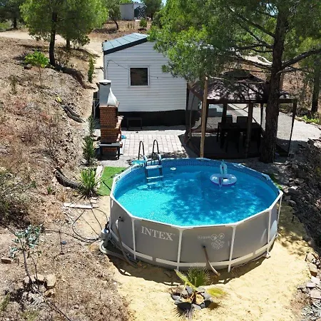 Into The Wild アルコーティン