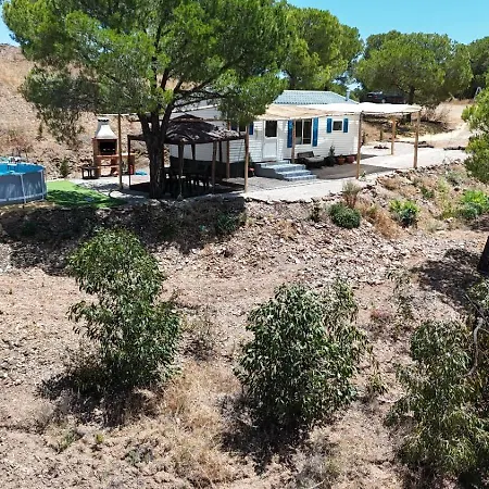Luxury tent Into The Wild